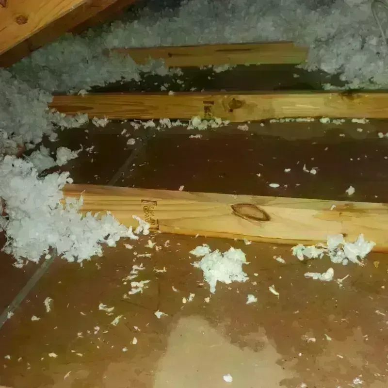 Attic Water Damage in Maverick County, TX