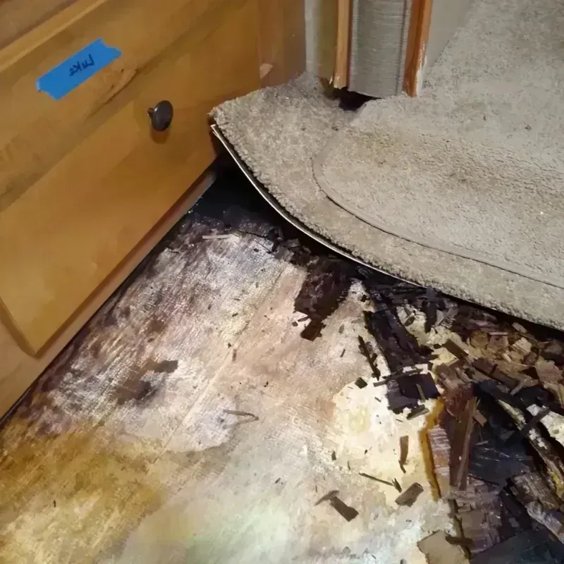 Wood Floor Water Damage in Maverick County, TX